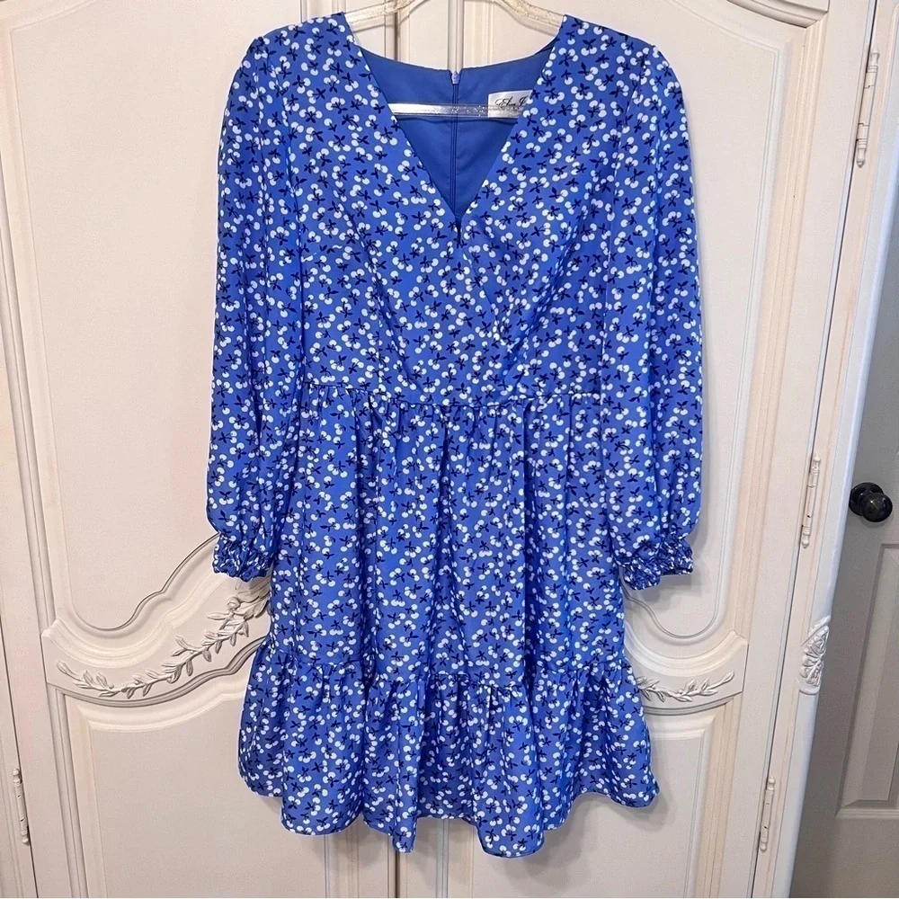 Eliza J Floral Long Sleeve Fit & Flare Cherries Dress, Size 4 - Picture 4 of 13